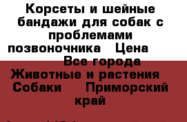 Корсеты и шейные бандажи для собак с проблемами позвоночника › Цена ­ 2 500 - Все города Животные и растения » Собаки   . Приморский край